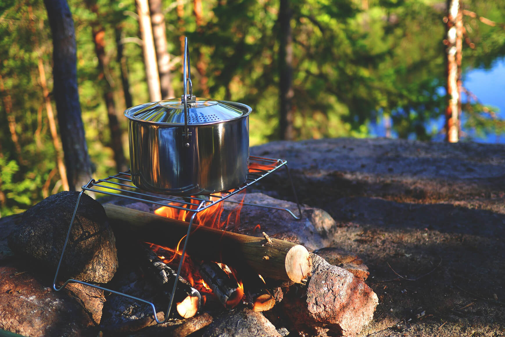 doğada bölgesel lezzetler