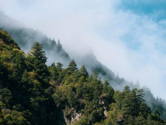 sakinliği doğada aramak