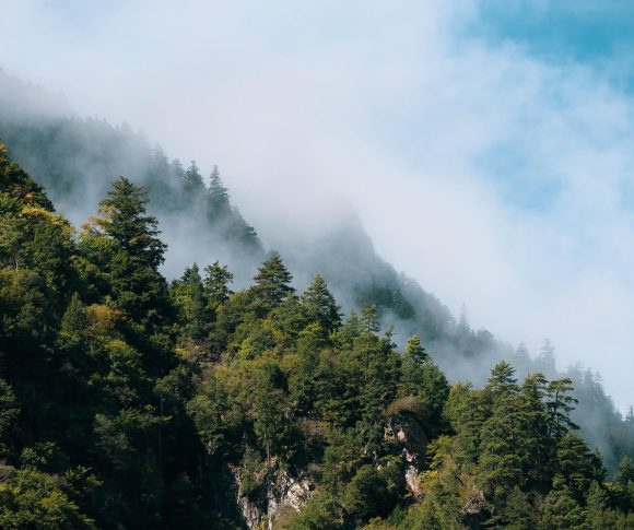 sakinliği doğada aramak