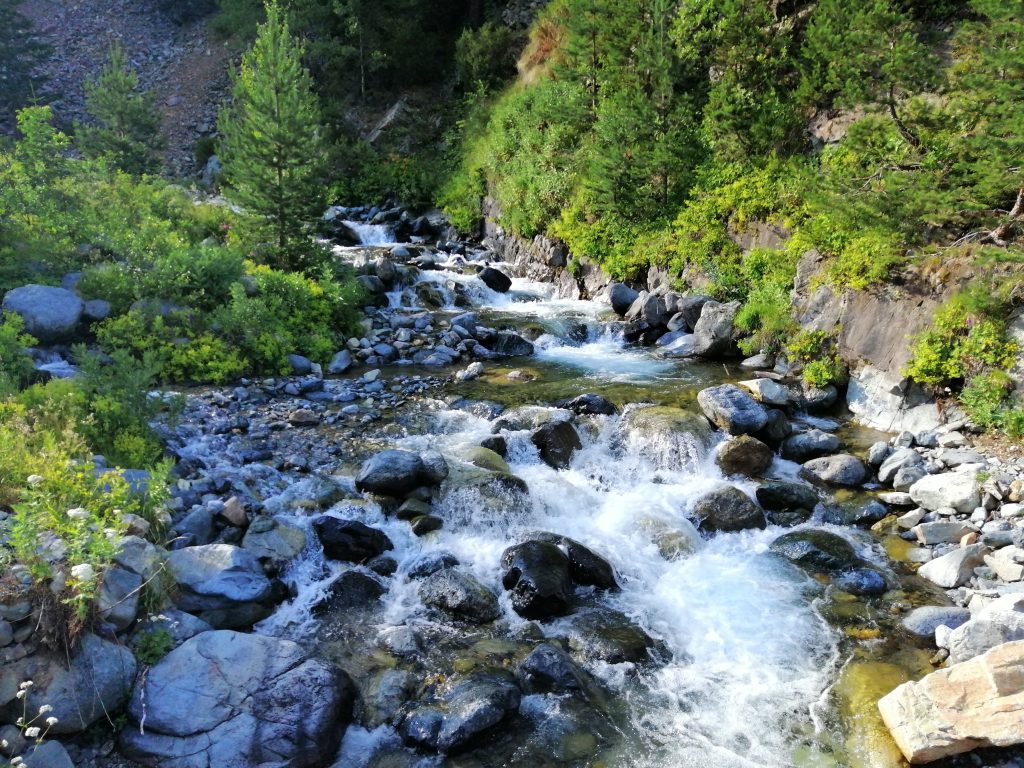 Çoruh Barhal Çayı